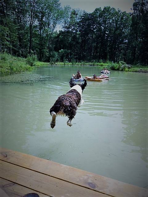 Attached picture Mckinley Jumping (2).JPG